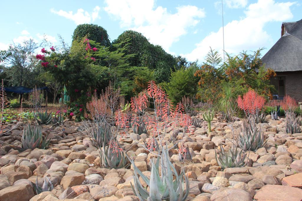 Copacopa Lodge And Conference Centre Punda Maria ภายนอก รูปภาพ
