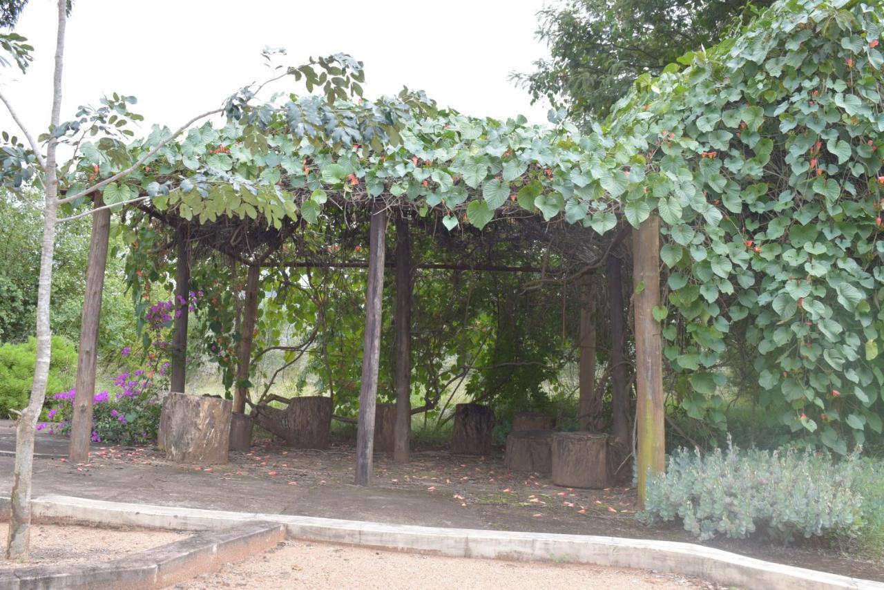 Copacopa Lodge And Conference Centre Punda Maria ภายนอก รูปภาพ